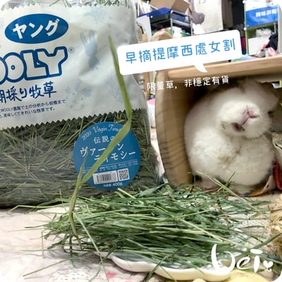 WOOLY高原的早摘提摩西 處女割1