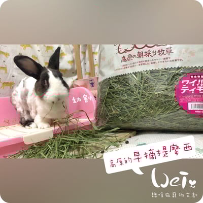 WOOLY高原的早摘提摩西幼割 (本次貨櫃未到)16