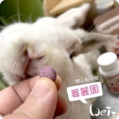 CI兔 Citwo LAB 莓麗固 (開心點1號)3