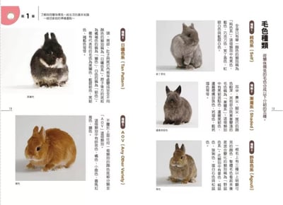 《書》第一次養荷蘭侏儒兔就上手 ネザーランドドワーフ 飼育バイブル 長く元気に暮らす50のポイント3