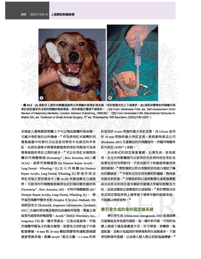 《書》犬貓口腔與上頜顏面外科，第二版7