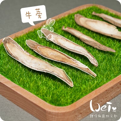 牛蒡乾2