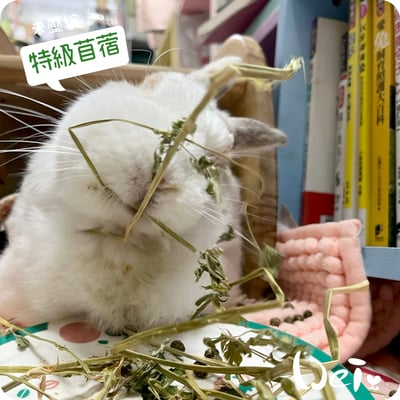 摩米MOMI 農夫皇牌特選苜蓿草6