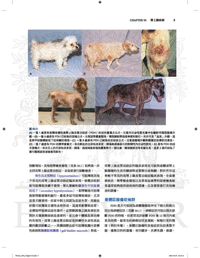 《書》小動物內科學，第六版（中冊）4
