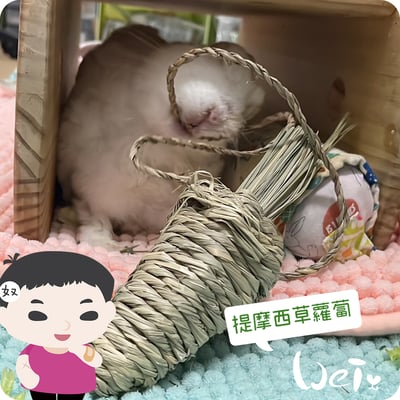 OXBOW提摩西草蘿蔔1