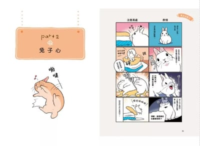 《書》最想讓主人知道的兔兔祕密  「うさごころ」がわかる本3