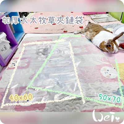 加厚大大透明夾鏈袋 (牧草分裝收納用)2