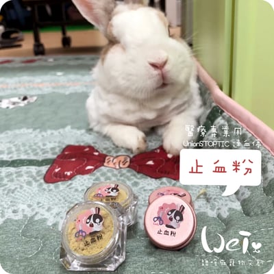 寵物用止血粉 專業用 UnionSTOPTIC 速血停 (分裝)4