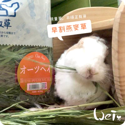 WOOLY高原早割燕麥草(本次貨櫃未到)6