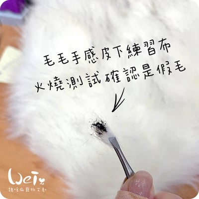 PiPe煙斗牌 寵物專業電剪ER-169(機身較止滑) (剃毛)11