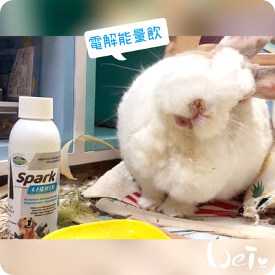 澳洲飛達發VETAFARM 電解能量飲2