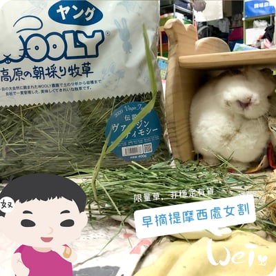 WOOLY高原的早摘提摩西 處女割8