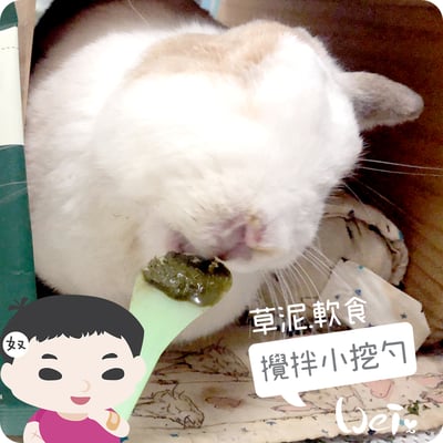 軟食/草泥攪拌小挖勺4