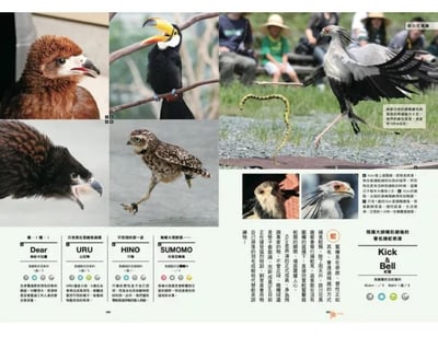 《書》日本動物園巡禮: 動物愛好者旅遊指南 動物園めぐり10