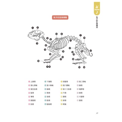 《書》健康養兔子【全新修訂版】：朱哲助院長的疾病預防與照護大公開8