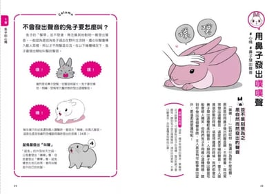 《書》兔兔跟你想的不一樣！：了解兔兔的130個真心話  飼い主さんに伝えたい130のこと うさぎがおしえるうさぎの本音3