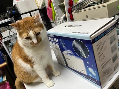 京華KUN-868超音波噴霧機(霧化機) (純介紹，網路不可販售)13