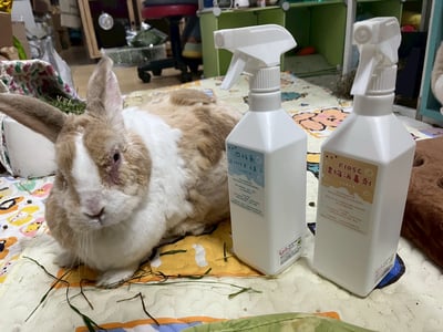 寵物用- F10SC消毒劑、四級氨BKC  (500ml噴瓶) 動物醫院清潔使用3