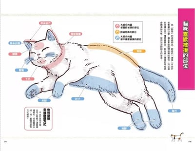 《書》獸醫來教你！貓咪的幸福生活教科書 猫と幸せに暮らすための教科書 家族が知っておきたい猫のメンタル&ヘルスケア2