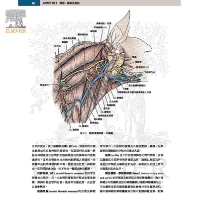 《書》犬解剖指引第八版3