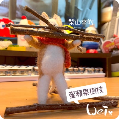 梨山 蜜蘋果樹枝11