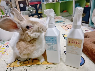 寵物用- F10SC消毒劑、四級氨BKC  (500ml噴瓶) 動物醫院清潔使用1