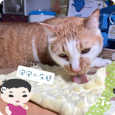 手作 - 泡泡小床毯 (沙沙響紙)19