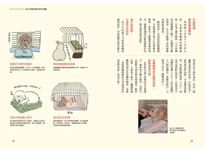 《書》兔兔的老年生活規劃 うちのうさぎの老いじたく8