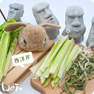 西洋芹乾1