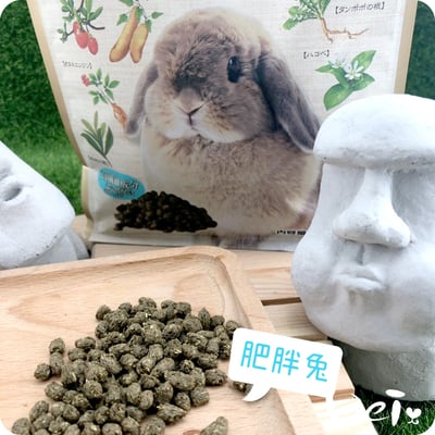 GEX彩食健美肥胖兔2