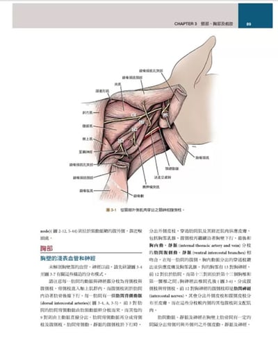 《書》犬解剖指引第八版10