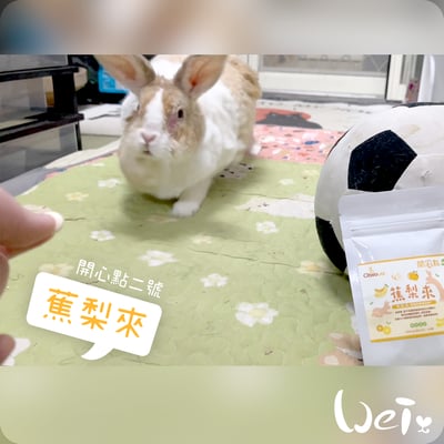 CI兔 Citwo LAB 蕉梨來 (開心點2號)5