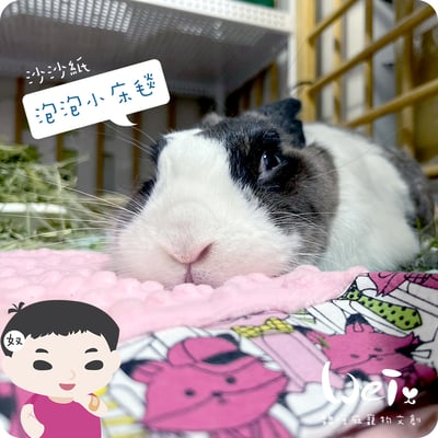 手作 - 泡泡小床毯 (沙沙響紙)14