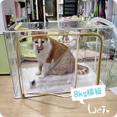 110L折疊全透明寵物氧氣箱-吸氧箱/噴霧箱/霧化箱11