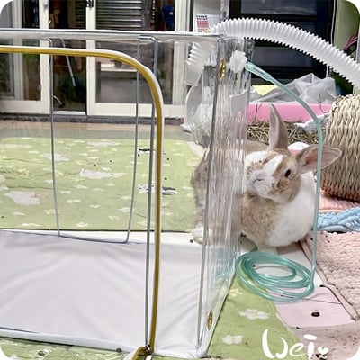 110L折疊全透明寵物氧氣箱-吸氧箱/噴霧箱/霧化箱2