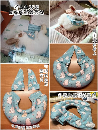 客製手作接單 - 兔U枕  to you ，可拆式黏貼輔助彎枕 (老兔天竺鼠/癱瘓/關節行動不便)U型枕/月亮枕3