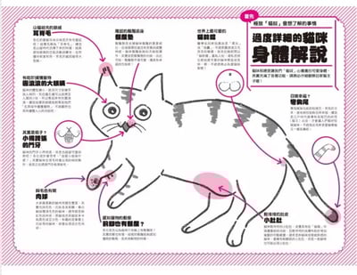 《書》為貓咪打造幸福生活的「貓奴」養成指南  獣医にゃんとすの猫をもっと幸せにする「げぼく」の教科書2