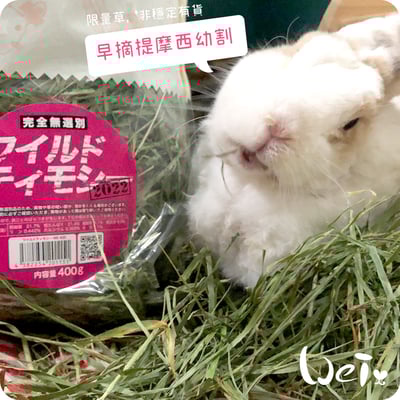 WOOLY高原的早摘提摩西幼割 (本次貨櫃未到)8