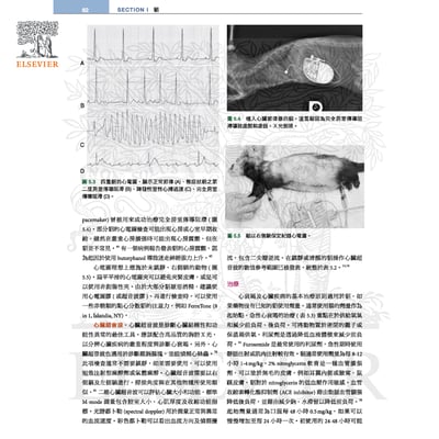 《書》貂、兔與囓齒類動物：臨床內外科，第四版(現貨)5