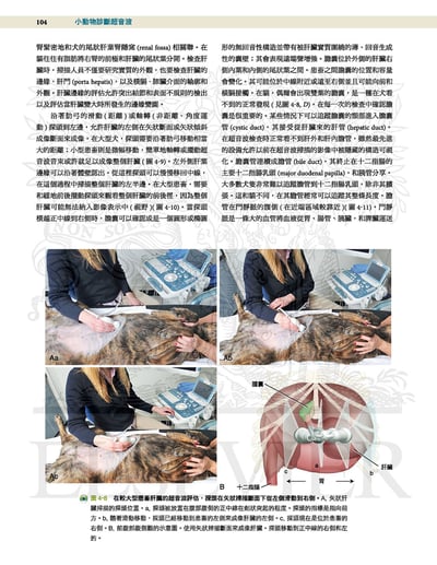 《書》小動物診斷超音波 第三版 (上冊+下冊)4