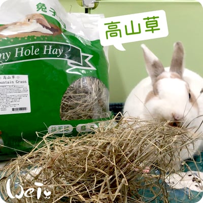 美國Rabbit Hole Hay兔子洞 高山草5