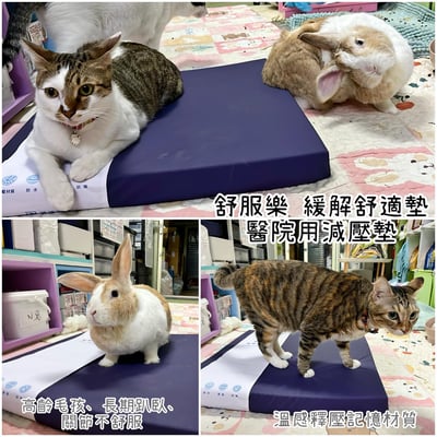 衛教區～常見的墊材介紹5