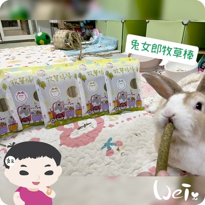 兔女郎點心吧 黑麥草牧草棒棒3