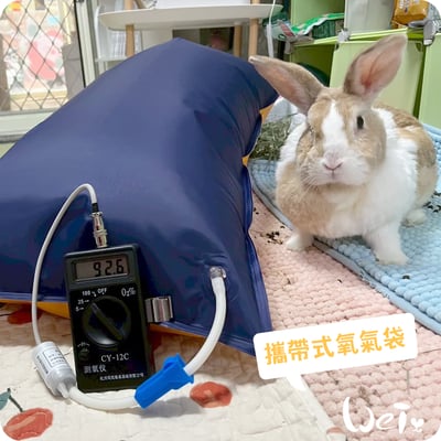 寵物用 攜帶式醫用氧氣袋1