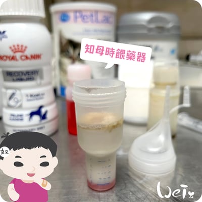 知母時餵藥器(擠壓式) /奶貓 / 兔子天竺鼠等寵物灌食泥狀食物(台灣製)3