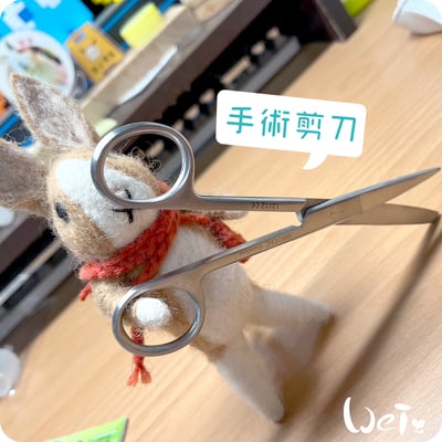 (包紮) 外科手術剪刀--直尖圓 (醫療剪刀/不銹鋼/食物料理剪刀)4