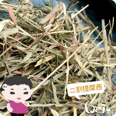 摩米MOMI T2 二割經典提摩西3