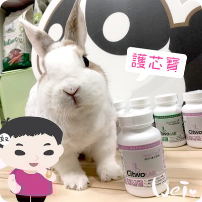 CI兔 Citwo LAB 護芯寶1