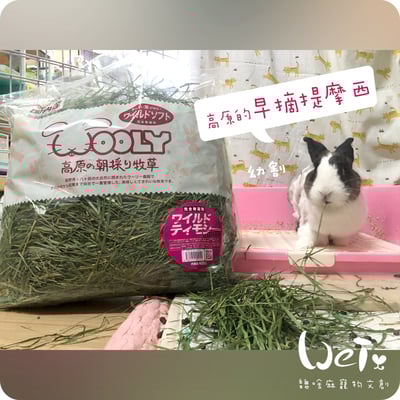 WOOLY高原的早摘提摩西幼割 (本次貨櫃未到)14