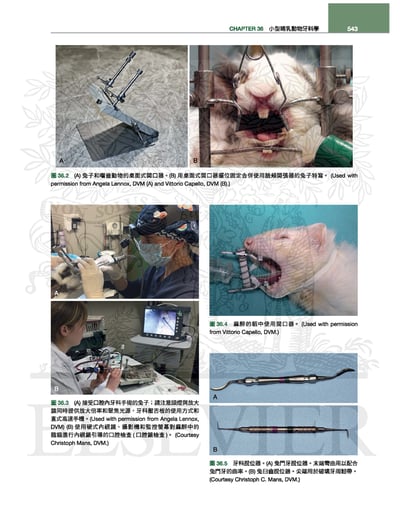 《書》貂、兔與囓齒類動物：臨床內外科，第四版(現貨)9